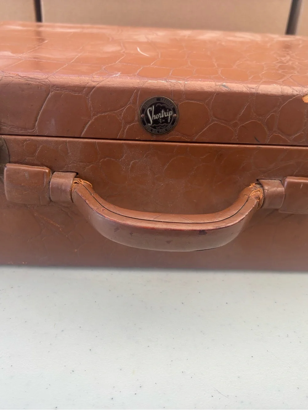 Vintage Shortrip Top Grain Cowhide Train Case
